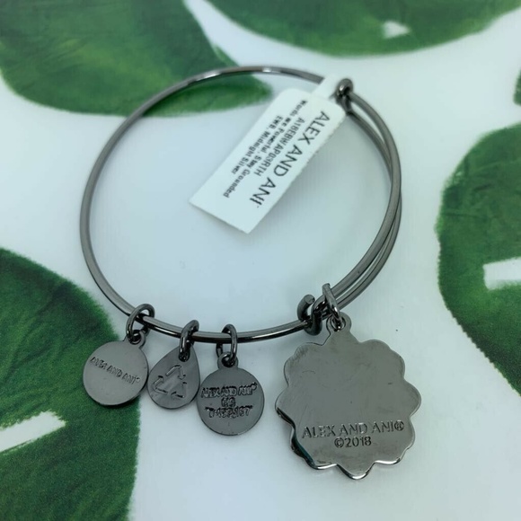 Alex and Ani Stay Grounded Charm Bangle Bracelet - Picture 8 of 8